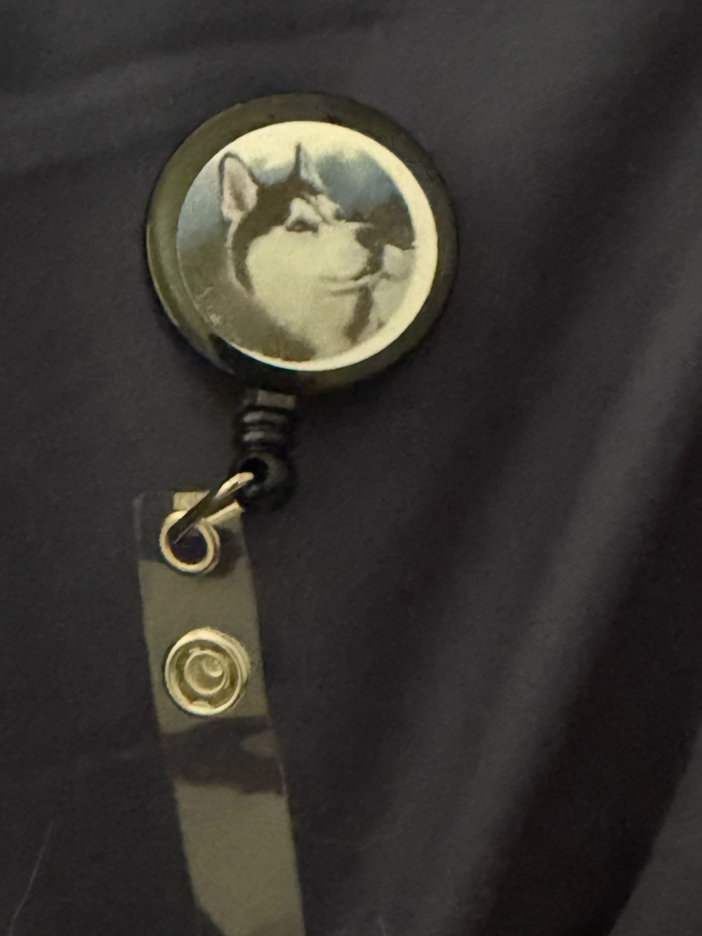 Black Husky Retractable Badge Reel - Pets Cat Accessory